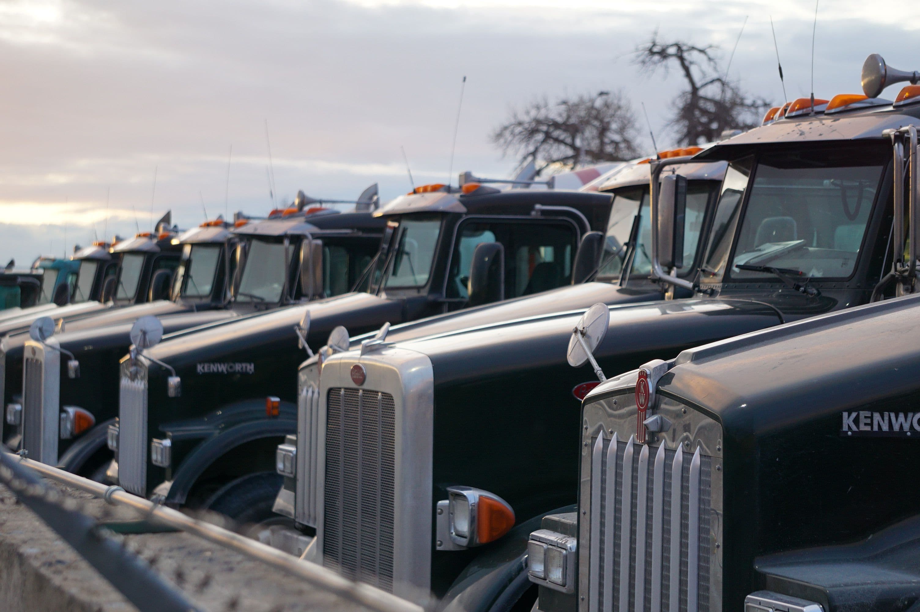 Fleet of trucks parked in a row